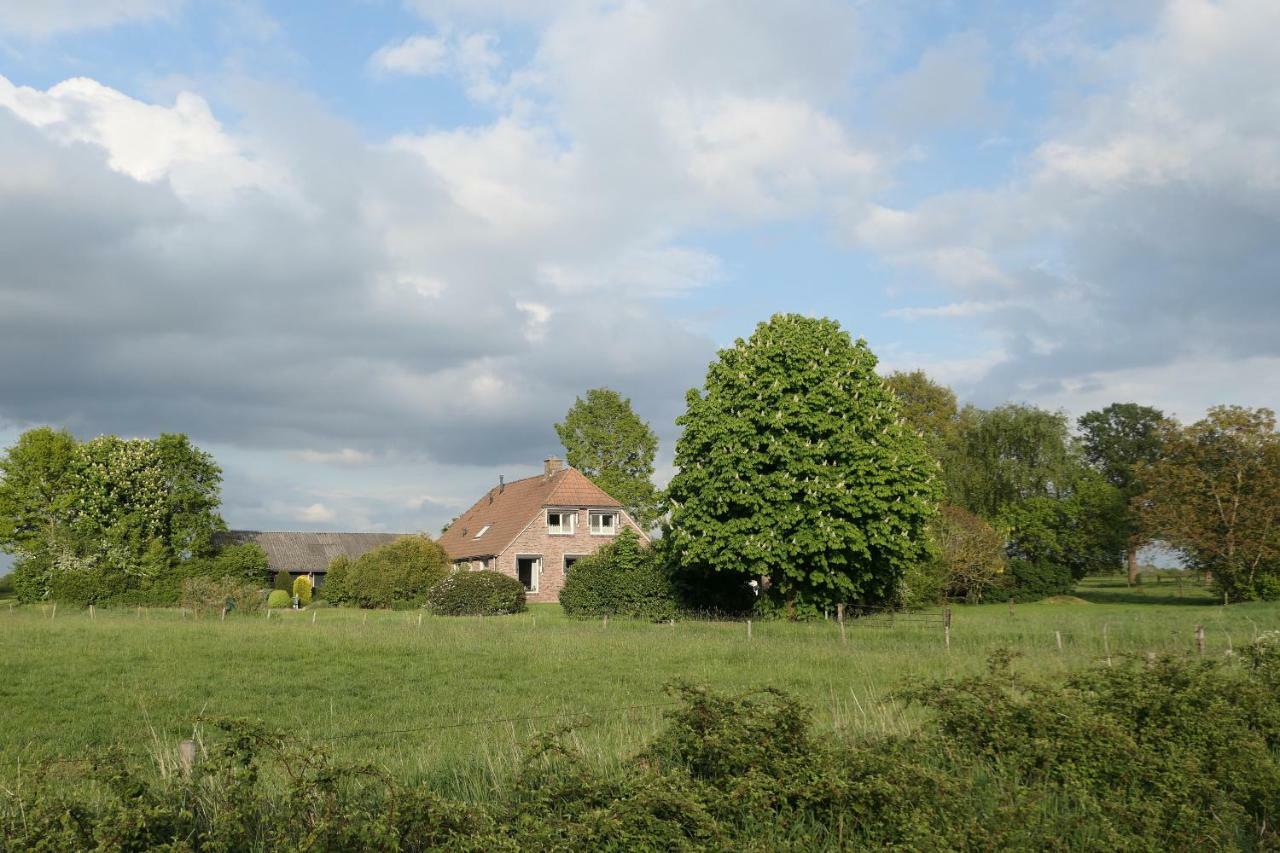 Erve Eshuus Daarle Villa Exterior foto
